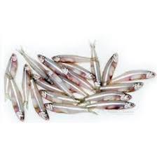 WhatsApp Image 2024-02-29 at 4.46.35 PM (1)